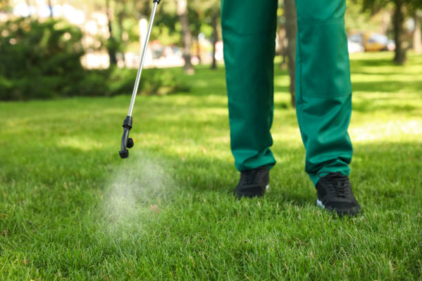 Professional Pest Control in Juno Beach, FL