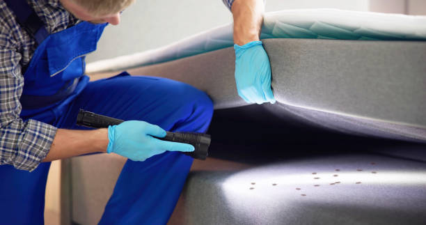 Best Pest Removal Services  in Juno Beach, FL